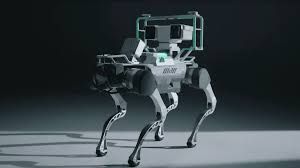Quadrupedal Robot X30