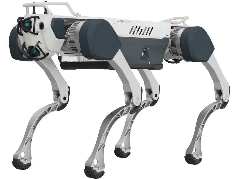 Quadrupedal Robot X30